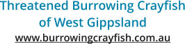 Threatened Burrowing Crayfish Of West Gippsland