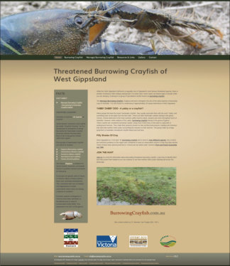Threatened Burrowing Crayfish Of West Gippsland